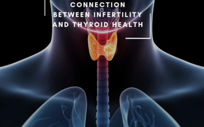 Connection Between Infertility and Thyroid Health